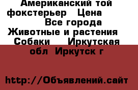 Американский той фокстерьер › Цена ­ 25 000 - Все города Животные и растения » Собаки   . Иркутская обл.,Иркутск г.